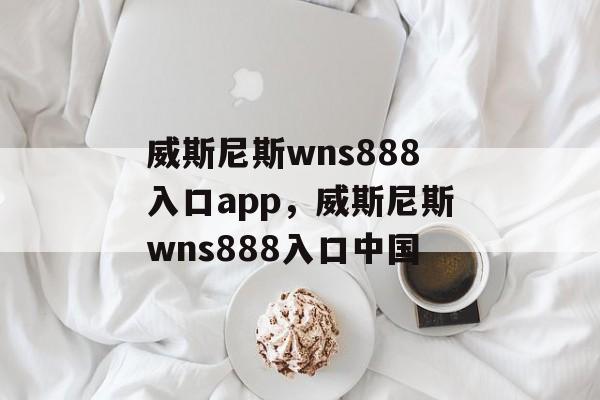 威斯尼斯wns888入口app，威斯尼斯wns888入口中国